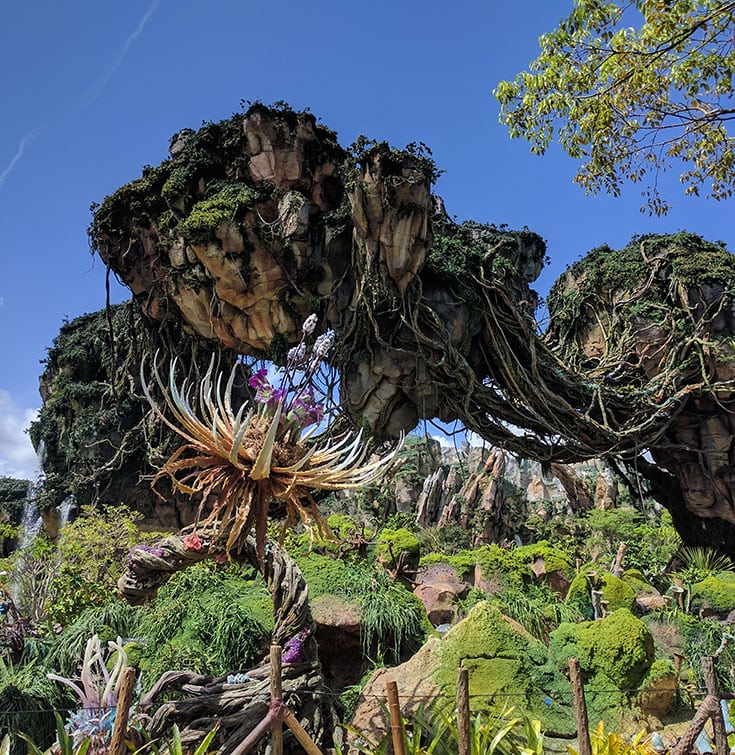 Pandora