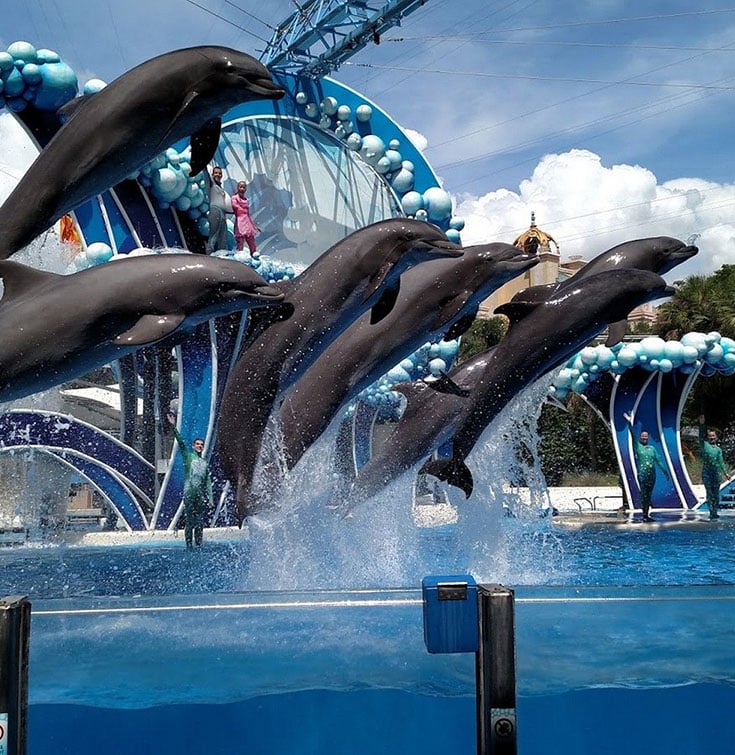 SeaWorld